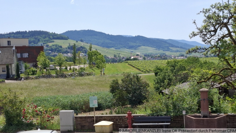 Sicht �ber das Rebland Reihenhaus Sinzheim