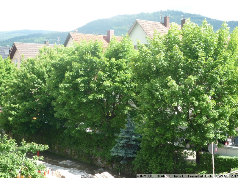 mit Blick zu den Bergen Dachgeschosswohnung Baden-Baden